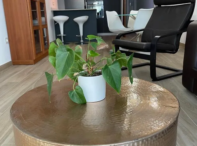 Aixa